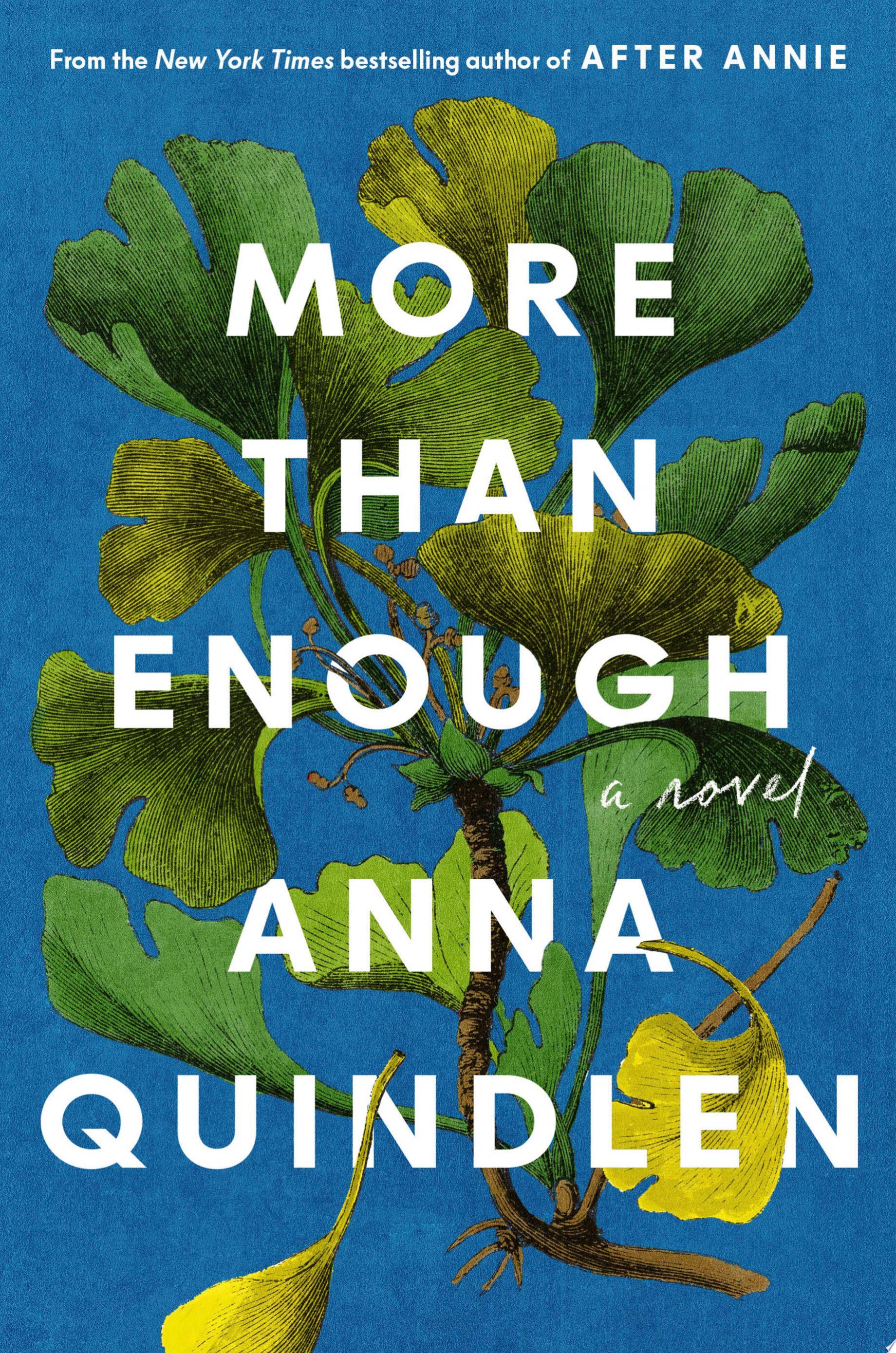 Image for "More Than Enough"